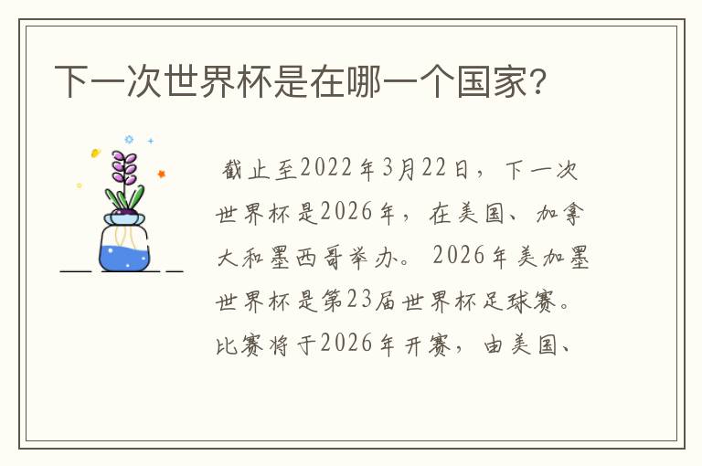 下一次世界杯是在哪一个国家?