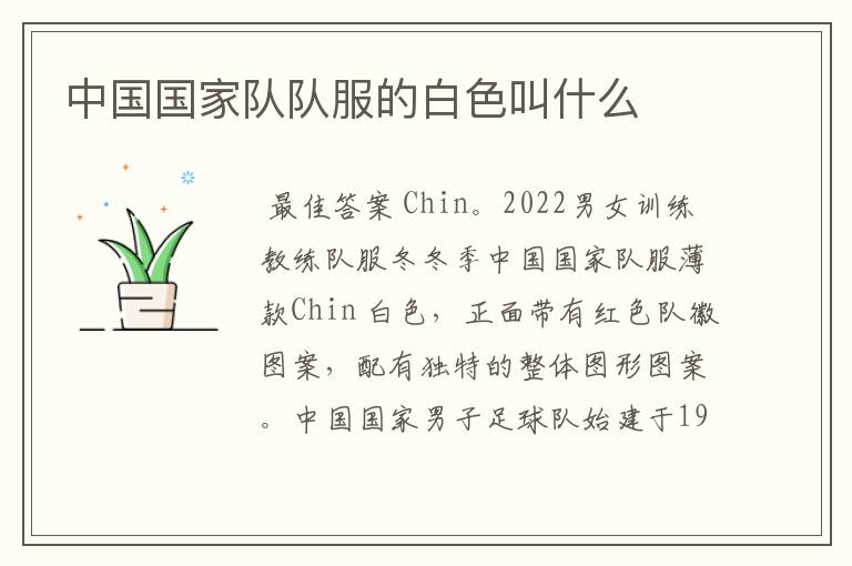 中国国家队队服的白色叫什么