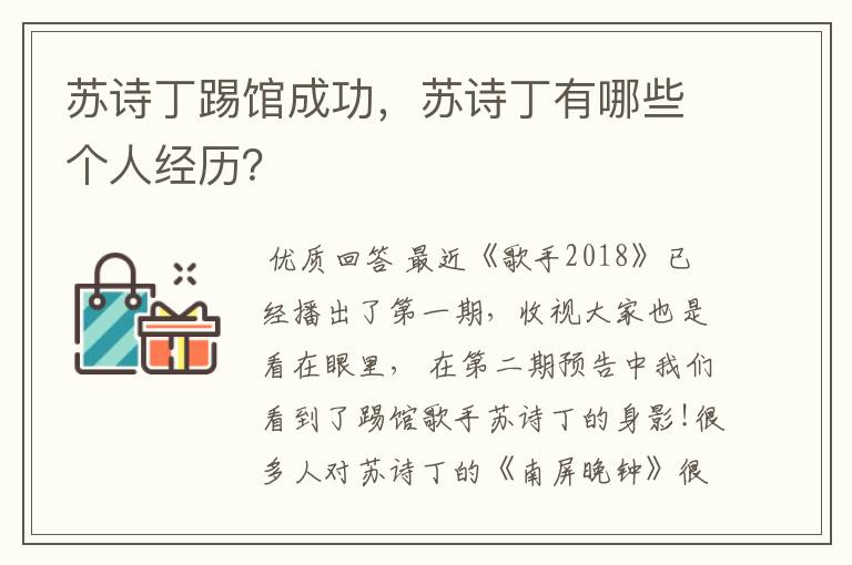 苏诗丁踢馆成功,苏诗丁有哪些个人经历?