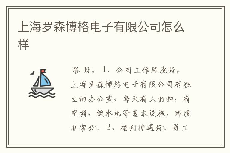 上海罗森博格电子有限公司怎么样