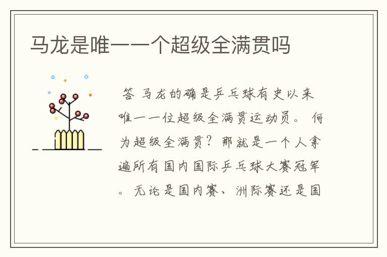 马龙是唯一一个超级全满贯吗