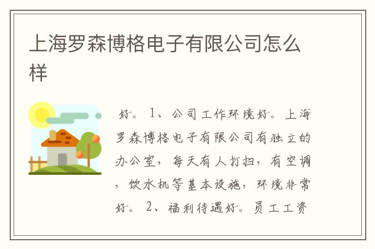 上海罗森博格电子有限公司怎么样