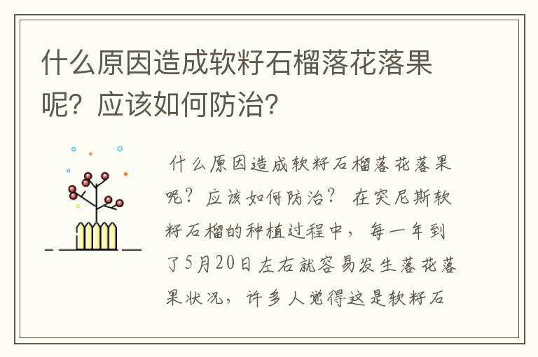 什么原因造成软籽石榴落花落果呢?应该如何防治?