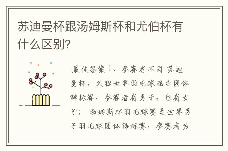 苏迪曼杯跟汤姆斯杯和尤伯杯有什么区别?