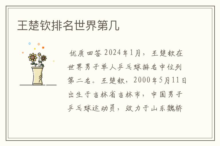 王楚钦排名世界第几