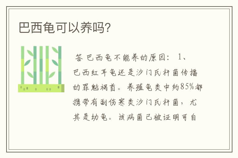 巴西龟可以养吗？