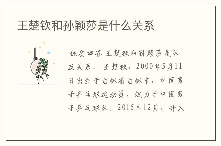王楚钦和孙颖莎是什么关系