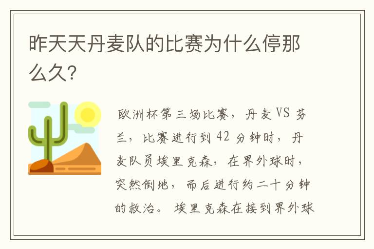 昨天天丹麦队的比赛为什么停那么久?