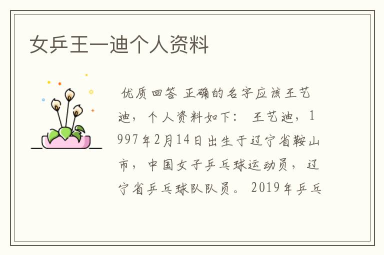 女乒王一迪个人资料