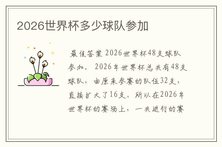 2026世界杯多少球队参加