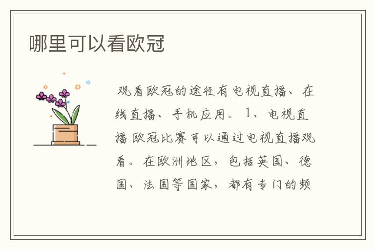 哪里可以看欧冠