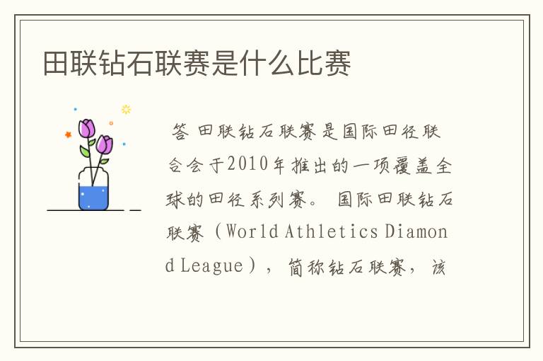 田联钻石联赛是什么比赛