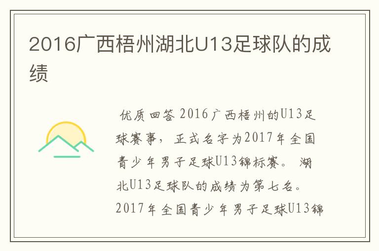 2016广西梧州湖北U13足球队的成绩