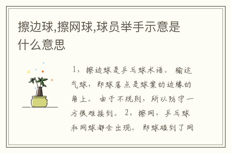 擦边球,擦网球,球员举手示意是什么意思