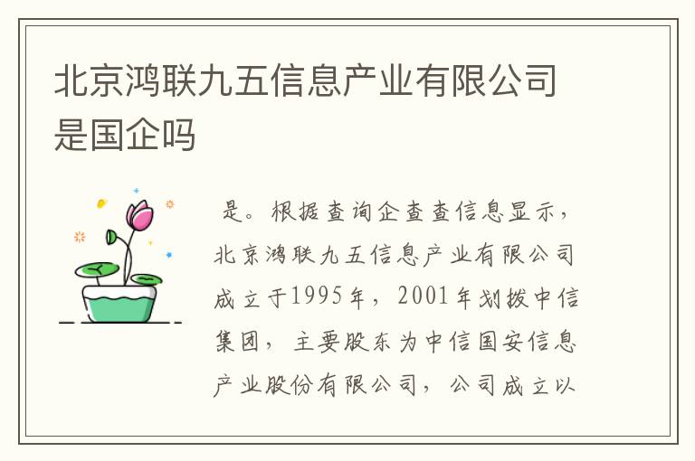北京鸿联九五信息产业有限公司是国企吗