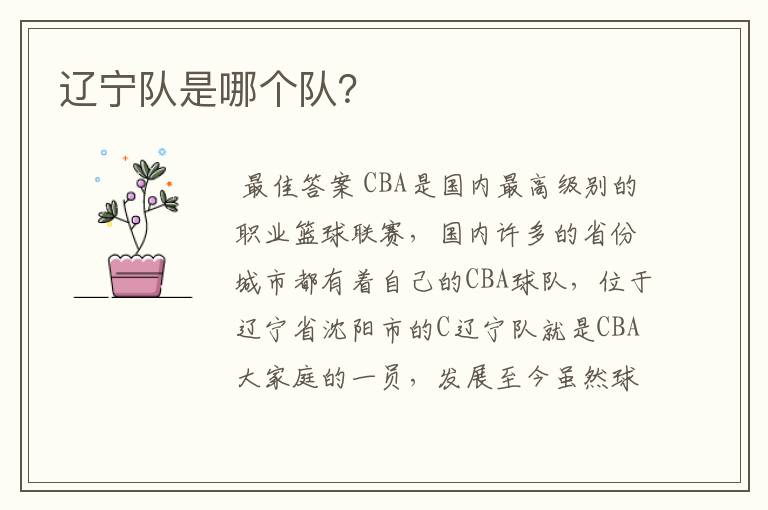 辽宁队是哪个队?