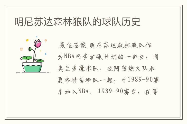 明尼苏达森林狼队的球队历史