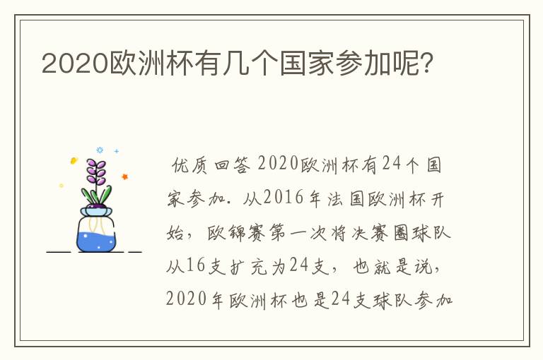 2020欧洲杯有几个国家参加呢?