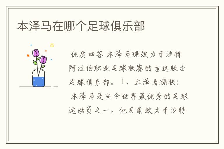 本泽马在哪个足球俱乐部