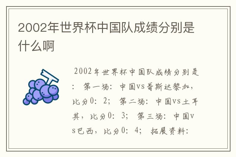 2002年世界杯中国队成绩分别是什么啊