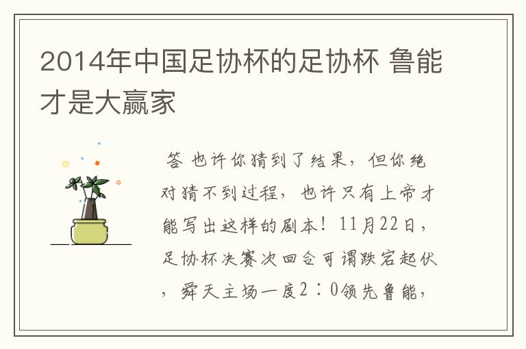 2014年中国足协杯的足协杯 鲁能才是大赢家
