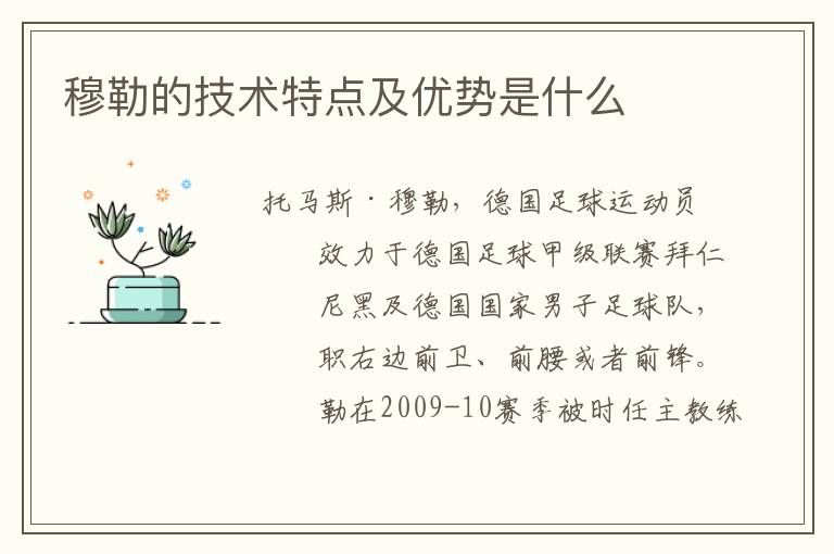 穆勒的技术特点及优势是什么