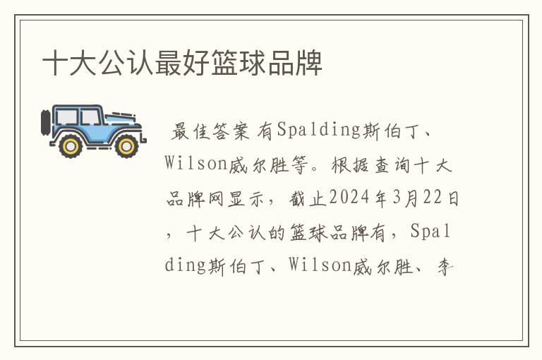 十大公认最好篮球品牌