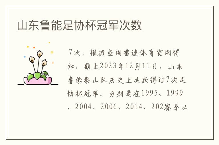 山东鲁能足协杯冠军次数