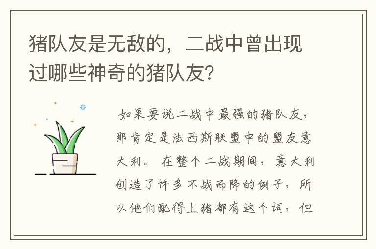 猪队友是无敌的，二战中曾出现过哪些神奇的猪队友？