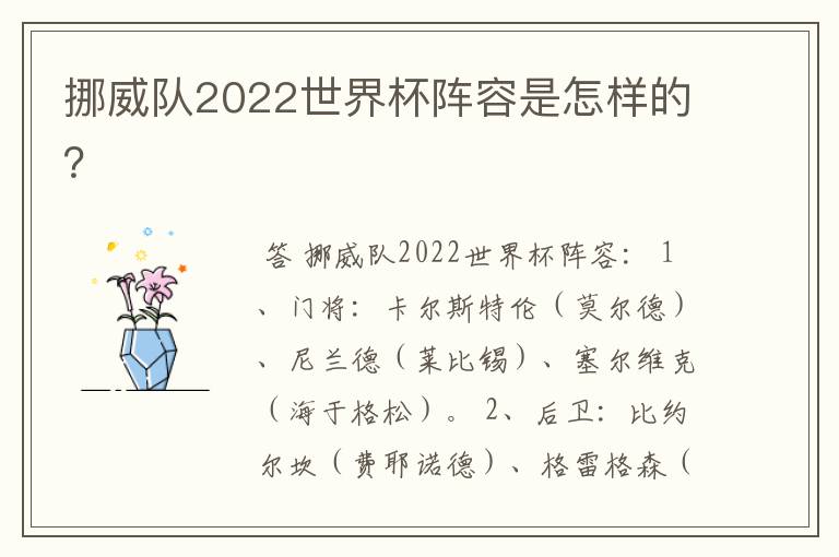 挪威队2022世界杯阵容是怎样的?