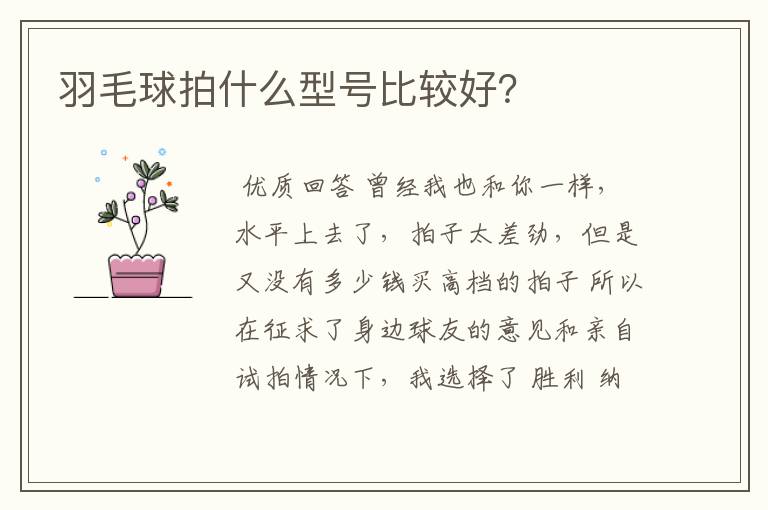羽毛球拍什么型号比较好?