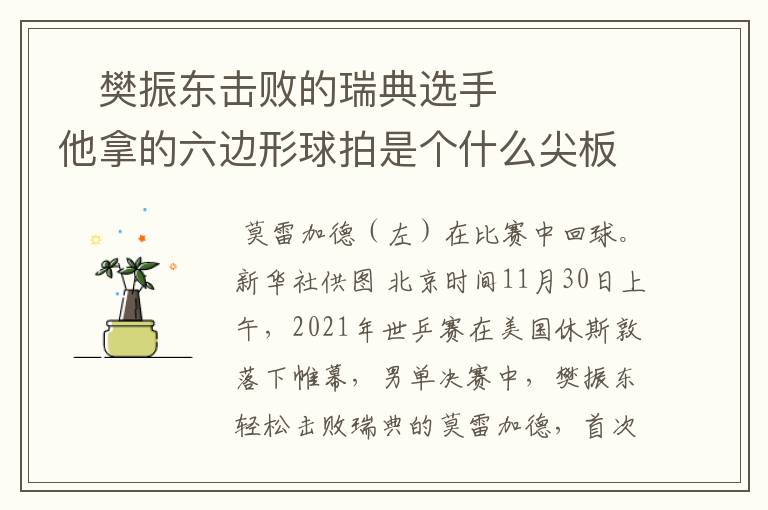 樊振东击败的瑞典选手 他拿的六边形球拍是个什么尖板眼?