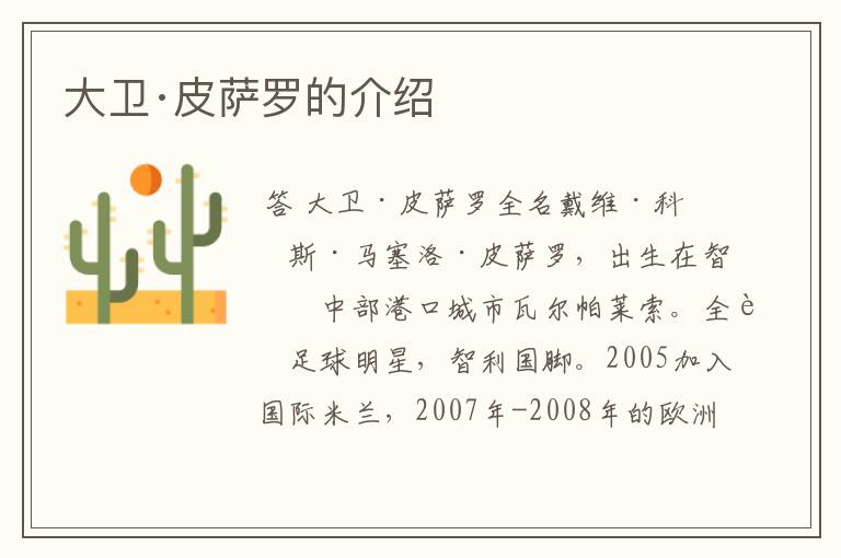 大卫·皮萨罗的介绍