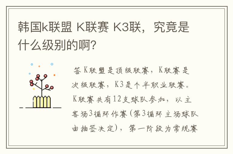 韩国k联盟 K联赛 K3联,究竟是什么级别的啊?