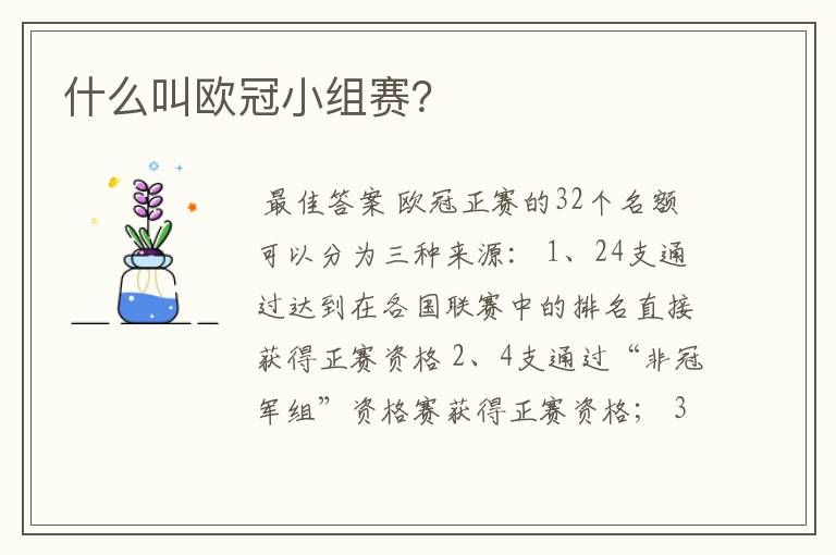 什么叫欧冠小组赛?