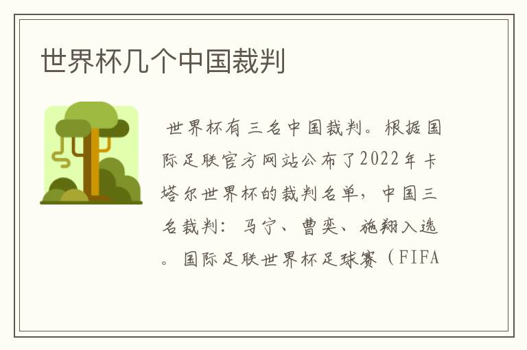 世界杯几个中国裁判