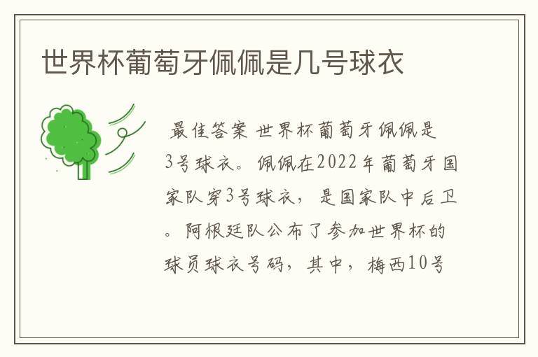 世界杯葡萄牙佩佩是几号球衣