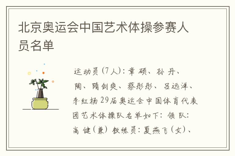 北京奥运会中国艺术体操参赛人员名单