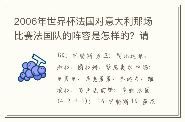 2006年世界杯法国对意大利那场比赛法国队的阵容是怎样的?请写出上场人员名单