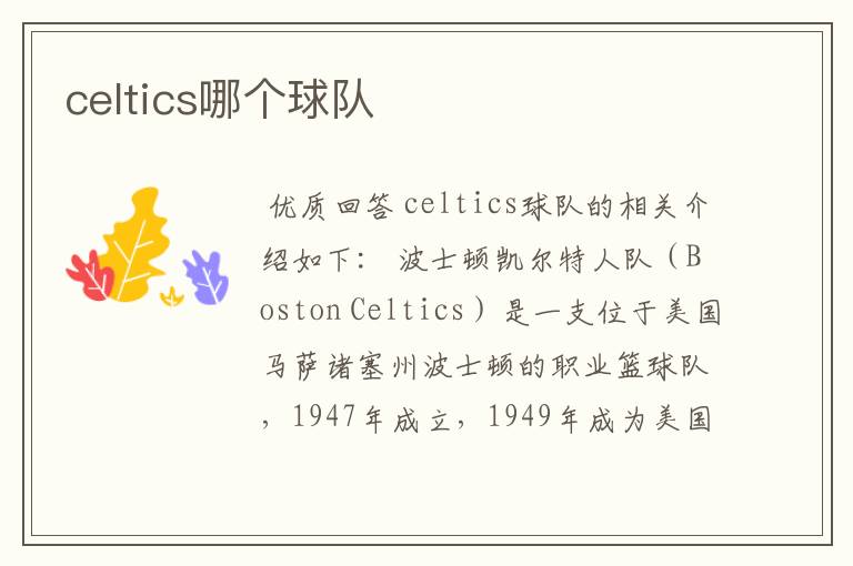 celtics哪个球队