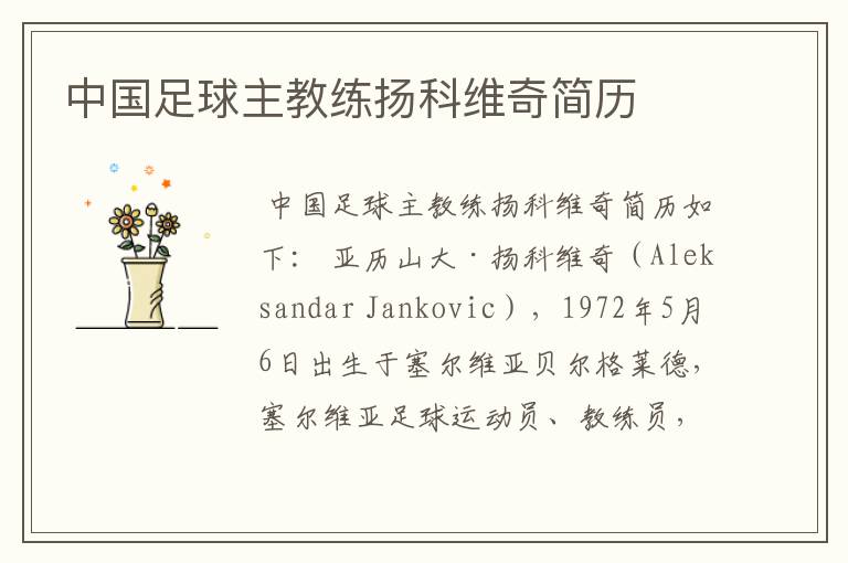 中国足球主教练扬科维奇简历