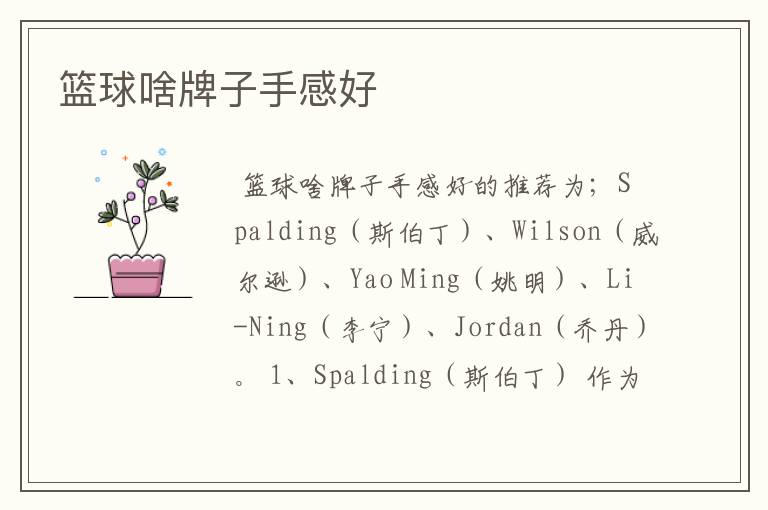 篮球啥牌子手感好