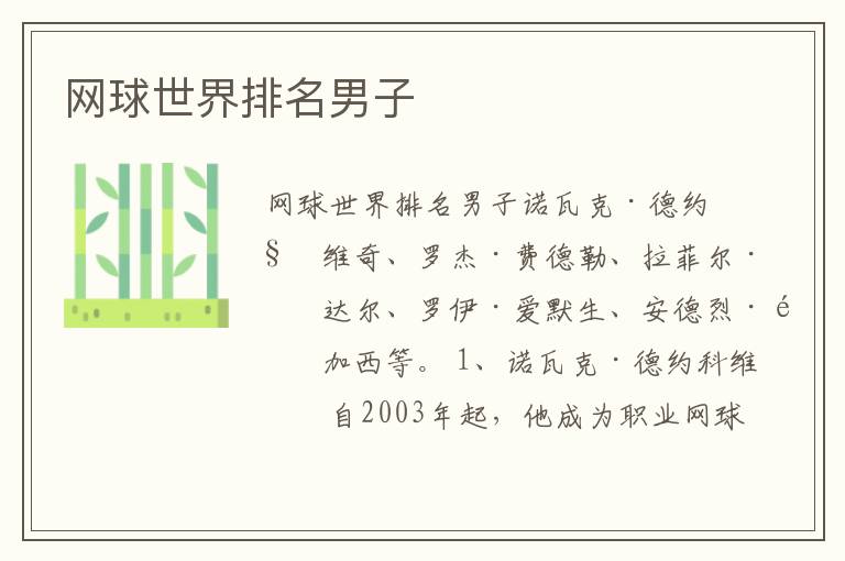网球世界排名男子