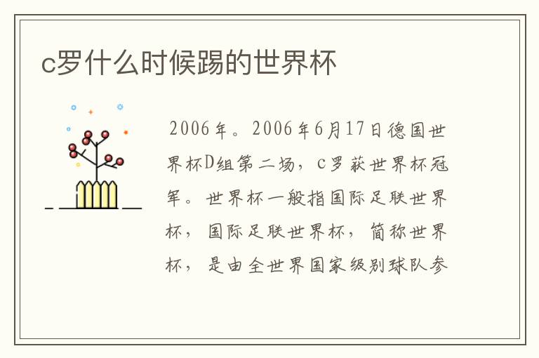 c罗什么时候踢的世界杯