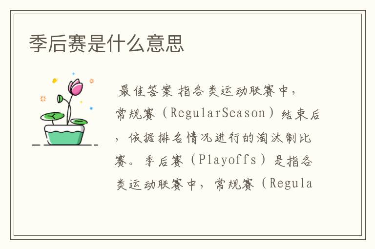 季后赛是什么意思