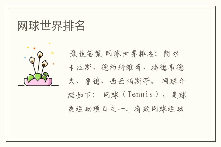 网球世界排名
