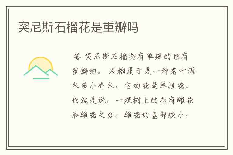 突尼斯石榴花是重瓣吗