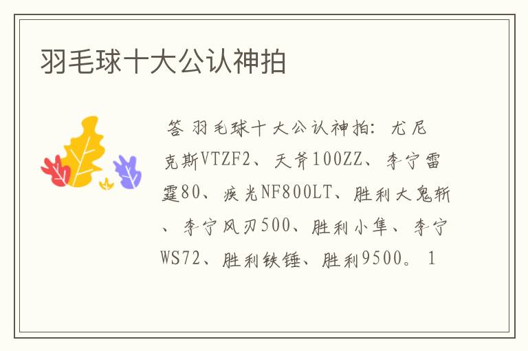 羽毛球十大公认神拍