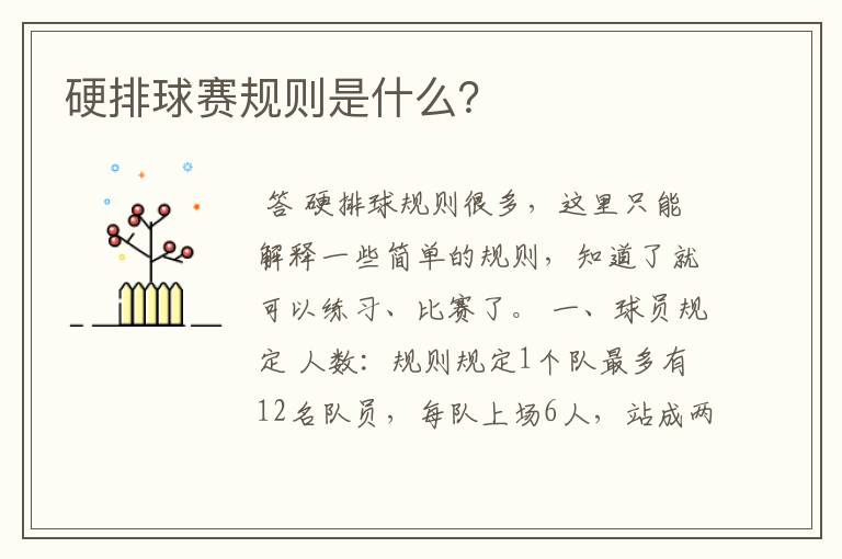 硬排球赛规则是什么?