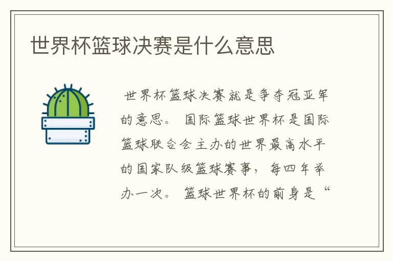 世界杯篮球决赛是什么意思
